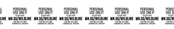 Wildline PERSONAL USE ONLY Regular Font OTHER CHARS