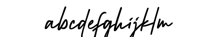 Wiliam Signature Font LOWERCASE