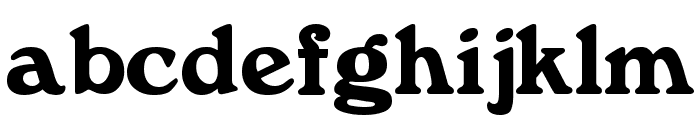 Windsor Regular Font LOWERCASE