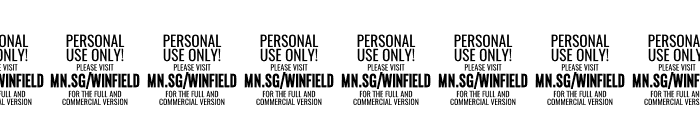 Winfield Script PERSONAL USE Font OTHER CHARS
