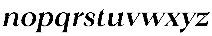 Winzer Serif PERSONAL USE Italic Font LOWERCASE