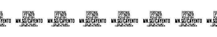 Winzer Variable PERSONAL ExtraNarrow Font OTHER CHARS