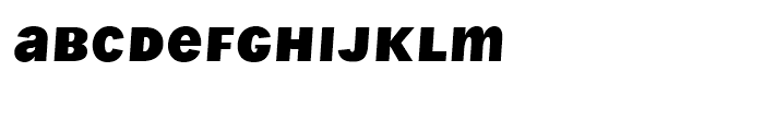 Wien Pro Unicase Oblique Bold Font LOWERCASE