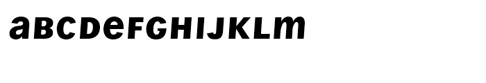 Wien Pro Unicase Oblique Medium Font LOWERCASE