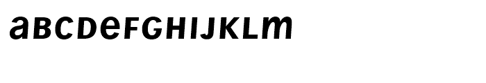 Wien Pro Unicase Oblique Font LOWERCASE