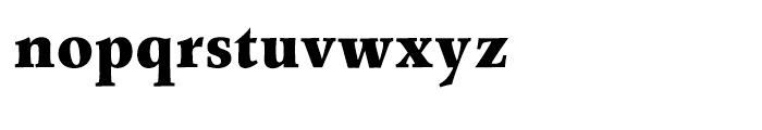 Wile Black Font LOWERCASE