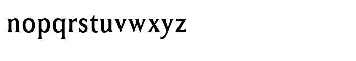 Winsel Condensed Regular Font LOWERCASE