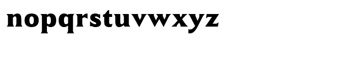 Winsel Normal Black Font LOWERCASE
