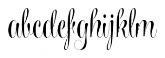 Wishes Script Pro Display Bold Font LOWERCASE
