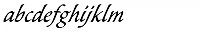 Wiki Italic Font LOWERCASE