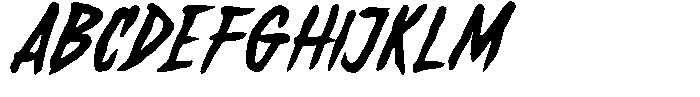 Wild Thunder FONT
