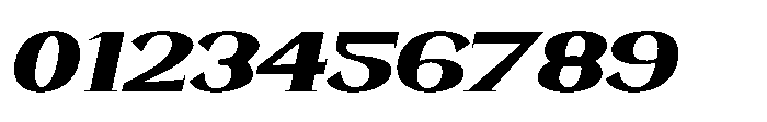 WildRoots WildRoots Italic Font OTHER CHARS