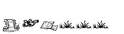 Wildnest Doodles Font LOWERCASE