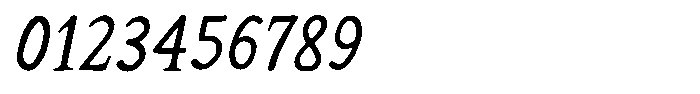 Wildrose Italic Font OTHER CHARS