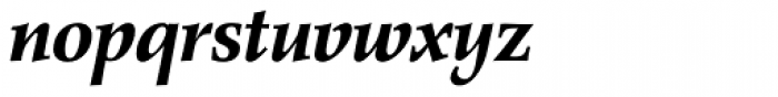 Wile Std Bold Italic Font LOWERCASE