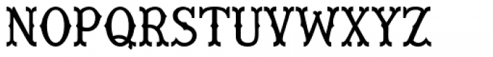 Wiley Regular Font LOWERCASE