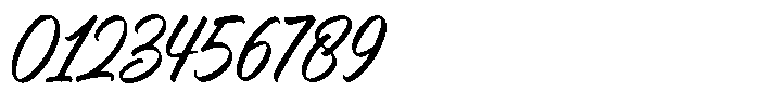 Willany Handwritten Font OTHER CHARS