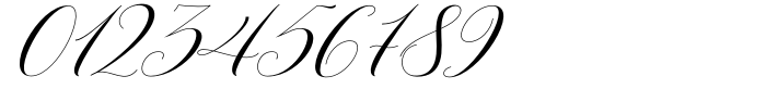 Willgets Calligraphy Font OTHER CHARS