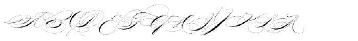 Willmaster Calligraphia Regular Font UPPERCASE