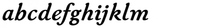 Winchester New Std Bold Italic Font LOWERCASE