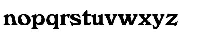 Windsor Std Roman Font LOWERCASE