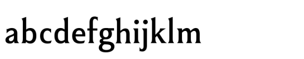 Winsel Variable Thin Condensed Font LOWERCASE