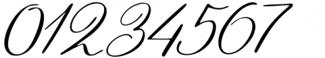 Winterante Italic Font OTHER CHARS