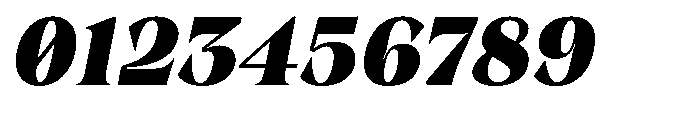 Winzer Serif Black Italic Font OTHER CHARS