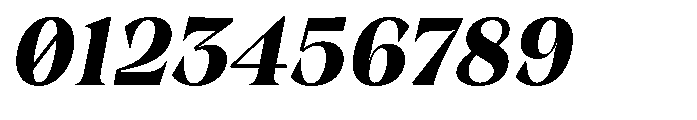 Winzer Serif Bold Slanted Font OTHER CHARS