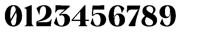 Winzer Serif Bold Font OTHER CHARS
