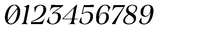 Winzer Serif Light Slanted Font OTHER CHARS