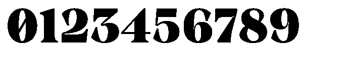 Winzer Serif Optical Black Font OTHER CHARS