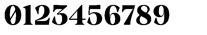 Winzer Serif Optical Bold Font OTHER CHARS