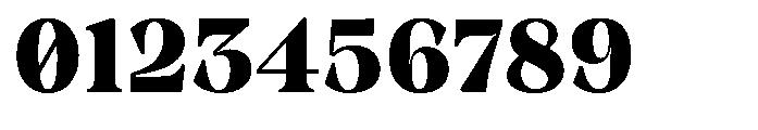 Winzer Serif Optical Extra Bold Font OTHER CHARS