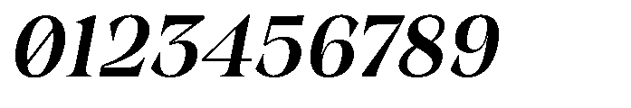 Winzer Serif Slanted Font OTHER CHARS
