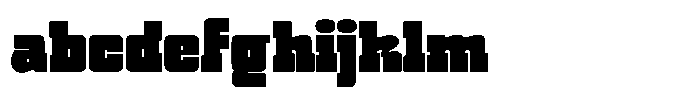 Witness Black FONT