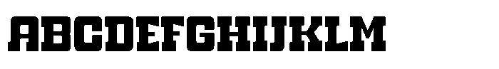 Witness Bold Font UPPERCASE