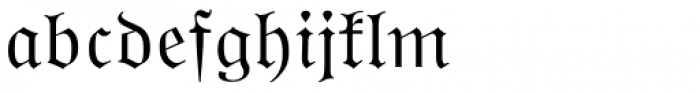 Wittenberger Fraktur Std Regular Font LOWERCASE