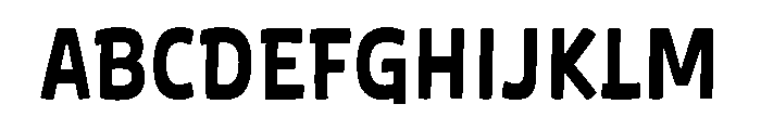 Wildberry Bold Instance FONT