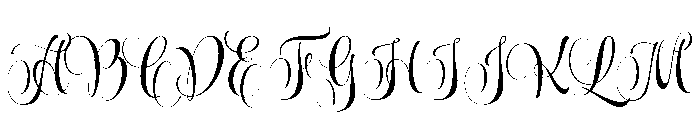 Wishes Display Bold Font UPPERCASE