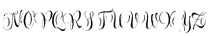 Wishes Display Bold Font UPPERCASE