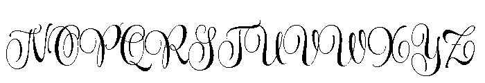 Wishes Text Bold Font UPPERCASE