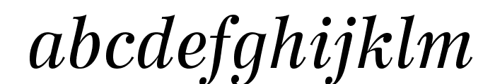 WilkeLTStd-Italic Font LOWERCASE