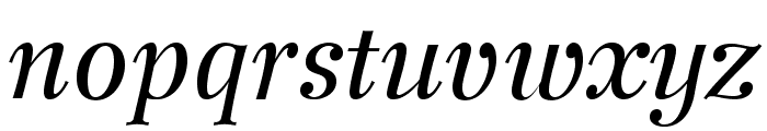 WilkeLTStd-Italic Font LOWERCASE