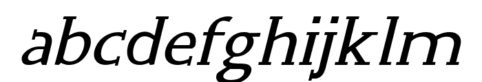 Wink-Italic Font LOWERCASE