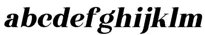 Wonder Society Black Italic FONT