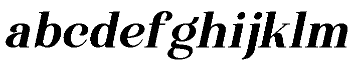 Wonder Society Bold Italic FONT