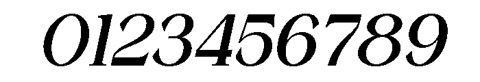 Wonder Society Italic Font OTHER CHARS