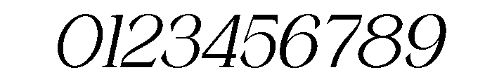 Wonder Society Thin Italic Font OTHER CHARS