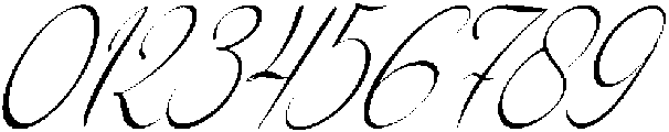 Woncherlly Italic otf (400) Font OTHER CHARS